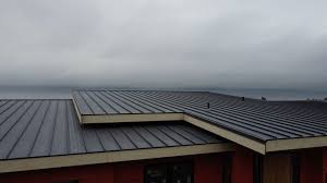 Best Steel Roofing  in South Lyon, MI